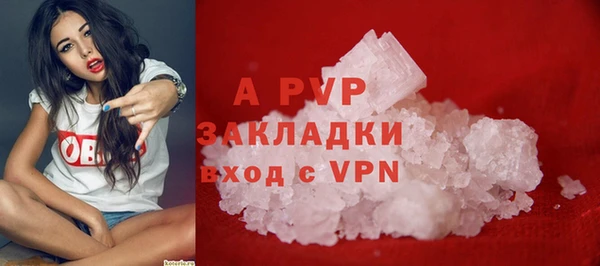 стаф Волоколамск