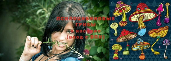 стаф Волоколамск